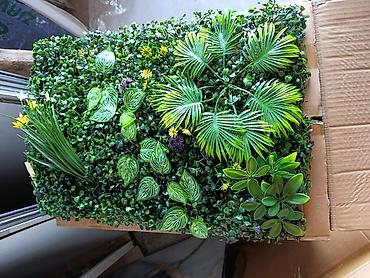 Süni güllər: Müxtəlif süni bitkilərdən ibarət dekorativ divar paneli. Bu panellər — 6