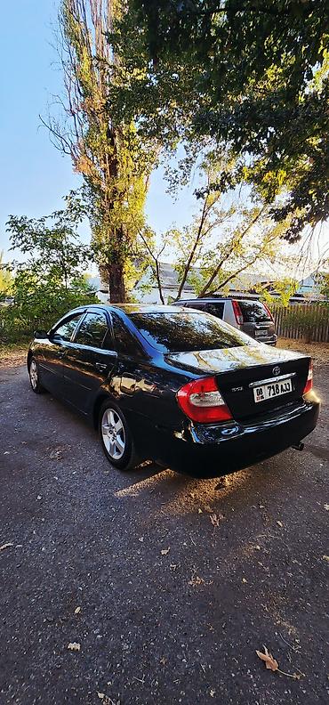 мини кара: Toyota Camry: 2003 г., 2.4 л, Автомат, Газ, Седан — 5
