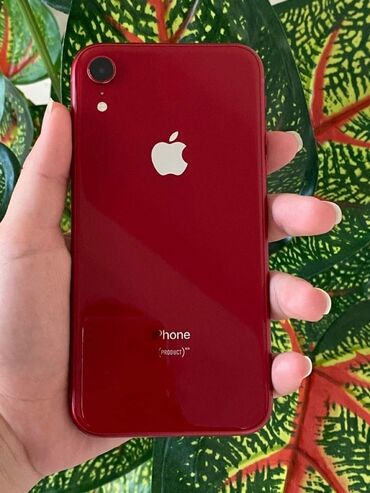 айфон 500: IPhone Xr, Колдонулган, 128 ГБ, Кызыл, Заряддоочу түзүлүш, Коргоочу айнек, Каптама, 76 %