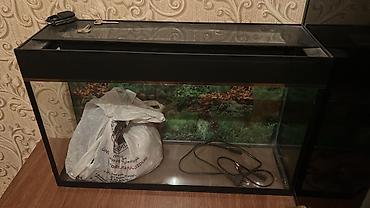 Akvarium içi daşları su filtiride uzerinde Uzunluq 60 sm hundurluk 38