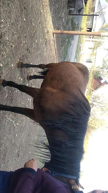 редми нот 7 цена в бишкеке 32 гб бу: Байтик ᐈ Xiaomi 310 объявлений ...