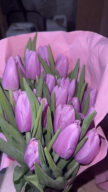 Букеты из живых цветов: ГОЛЛАНДСКИЕ ТЮЛЬПАНЫ К 8 МАРТА 🌷 Высота 60–70 см - крупные бутоны at lalafo.kg — 6 Букеты из живых цветов: ГОЛЛАНДСКИЕ ТЮЛЬПАНЫ К 8 МАРТА 🌷 Высота 60–70 см - крупные бутоны — 6