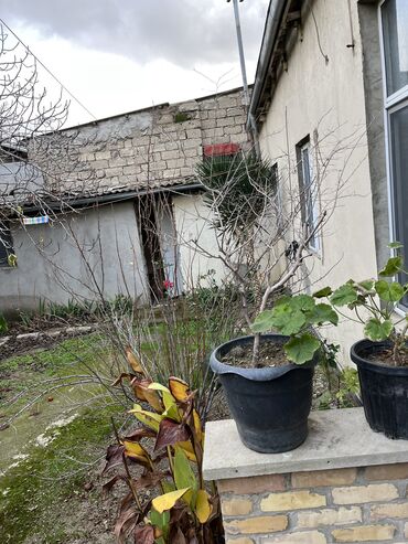 Bağ evlərinin satışı: Bakı, 80 kv. m, 2 otaqlı, Hovuzsuz, Kombi, Su, Qaz -da lalafo.az — 26 Bağ evlərinin satışı: Bakı, 80 kv. m, 2 otaqlı, Hovuzsuz, Kombi, Su, Qaz — 26