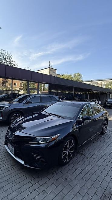 тайота камри 70 xse: Toyota Camry: 2019 г., 2.5 л, Автомат, Бензин, Седан — 2