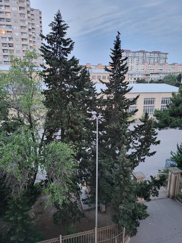 Uzunmüddətli kirayə mənzillər: Xalqlar Dostluğu 251 saylı məktəbin yaninda, 16/4 cü mərtəbəsi 2 otaqa — 10