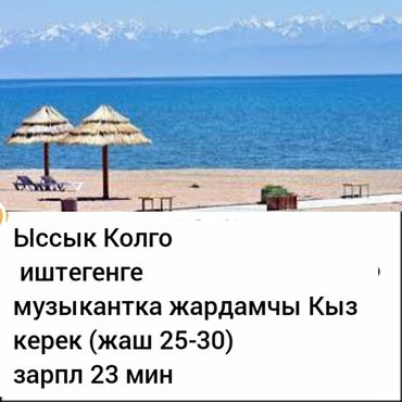 официант неполный рабочий день: Бийчи