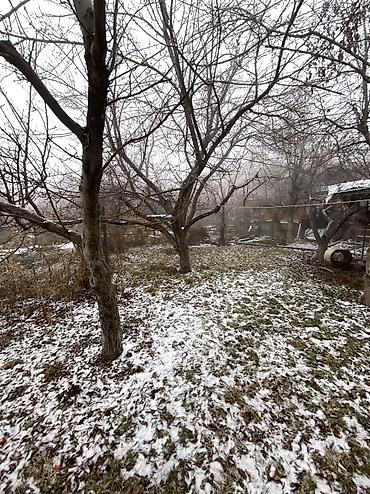 Продажа участков: 9 соток, Красная книга at lalafo.kg — 26 Продажа участков: 9 соток, Красная книга — 26