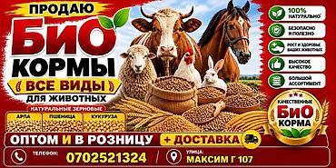 рыбы купить: Био-корма для животных — все виды - Натуральные зерновые: ячмень — 1