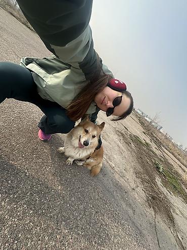 Выгул собак 🐕 | район Политеха Возьму на прогулки вашего пёселя 🐾