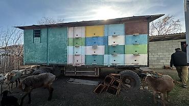 Другое сельско-хозяйственное оборудование: КЕМИН( БЫСТРОВКА) СРОЧНО!!!! ПРОДАЕТСЯ передвижной пчеловодческий — 3