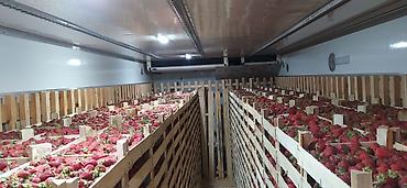 Клубника: Клубника — 8