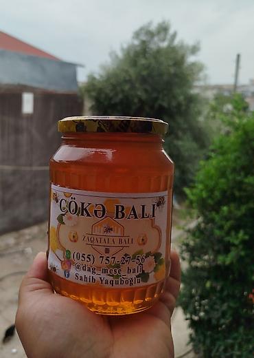 şan bal: Salam🙋 Əziz Balsevən🍯 dostlar. Zaqatalanın gözəl təbiətinin🌄 qoynundan — 3