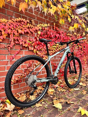 Горные велосипеды: Горный велосипед, Cube, Рама L (172 - 185 см), Алюминий, Новый — 2