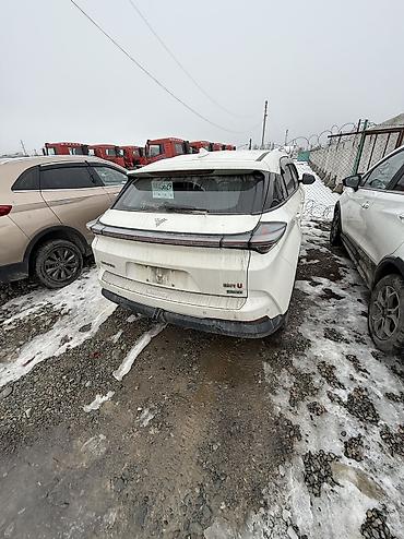 Roewe: Roewe : 2020 г., Автомат, Электромобиль, Кроссовер — 8