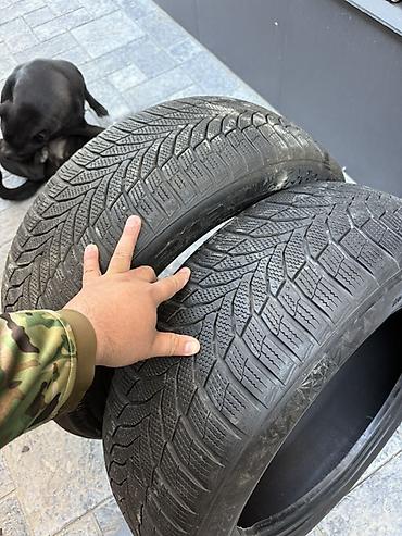 neta gt: Шины 235 / 55 / R 19, Зима, Б/у, Пара, Легковые, Корея, Nexen — 4