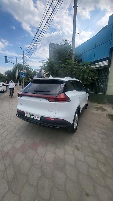 2022: BYD : 2022 г., Автомат, Электромобиль, Кроссовер — 3