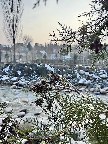 Продажа дач: Продаю Дачный домик ! Село Таш Мойнок ДОО « Горное» 6.5 соток — 15