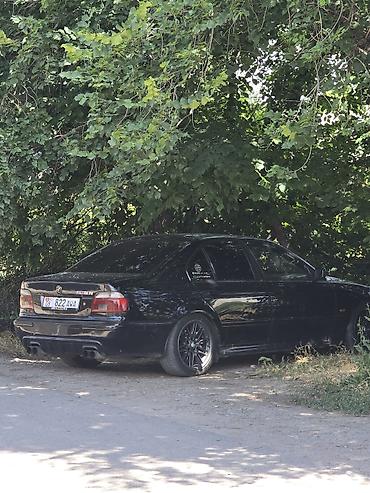 x pipe: BMW 5 series: 2003 г., 3 л, Автомат, Бензин, Седан — 1