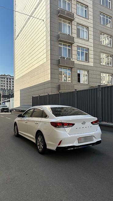 camey 55: Hyundai Sonata: 2022 г., 2 л, Автомат, Газ, Седан — 5