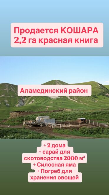 Коровы, быки: Продается кошара на участке 2,2 гектара, оформленная в красной книге