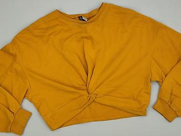 hm legends: H&M Divided, Bluza damska
, rozmiar L — 1
