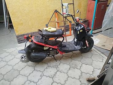 devo tiko: Скутер Honda Zoomer/Ruckus (50 см³водянное охлаждение только после — 3