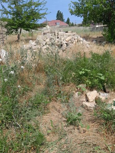 saray qəsəbəsində torpaq: 35 sot, Kənd təsərrüfatı, Mülkiyyətçi