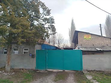 Продажа коттеджей и домов: Продается дом в г. Кара балта 17,5 соток. Мы посадили осенью новый — 3