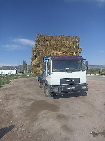 ман 8 180: Грузовой бортовой MAN - Марка/модель: MAN, бортовой грузовик. - — 5