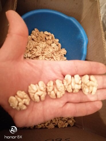 Ləpələr: Soyulmuş qoz ləpəsi. 10 kq karobkada. Toptan satış qiymətə və ünvana — 7