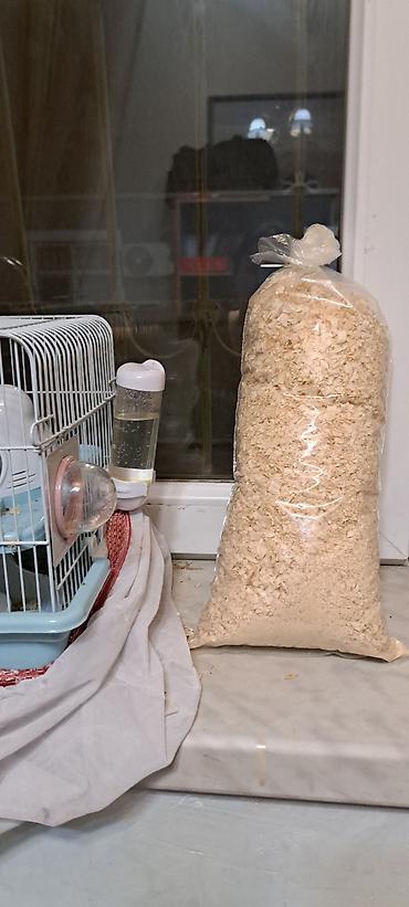 heyvan sikisi: Hamster üçün tam dəst qəfəs - Rəng: açıq mavi altlıq, ağ barmaqlıq - — 3