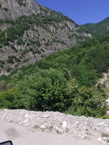 Landşaft işləri: Kupcalı 41 sot torpaq 20 sotda satilir — 9