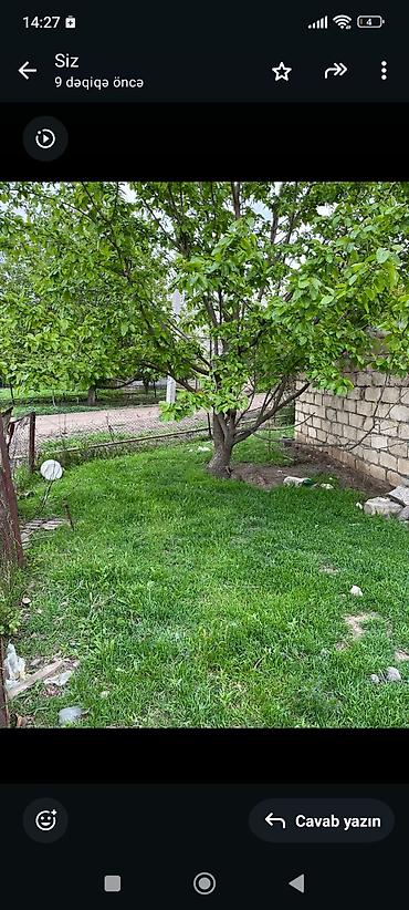 gencede: Satılır: Həyət evi və torpaq sahəsi Goranboy rayonu Delimemmedliye — 10