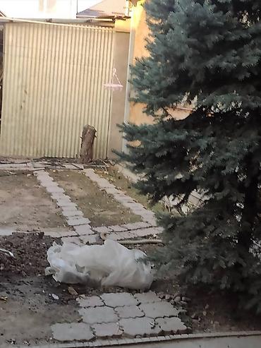 Продажа коттеджей и домов: Продается дом по трассе Тоголок Молдо/Щербакова. дом 1998 года — 3