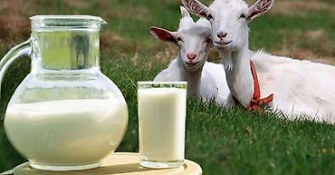 ульи ппу: Натуральный Козье молоко — 1