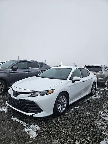 Toyota: Toyota Camry: 2019 г., 2.5 л, Автомат, Бензин, Седан — 2