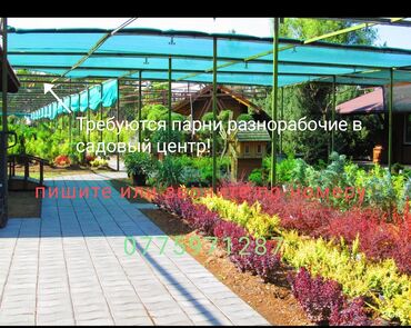 работа помошник повара: Талап кылынат Өндүрүшкө кара жумушчу, Төлөм Жума сайын, Тажрыйбасыз