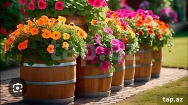 Digər xidmətlər: Dekorativ və xalis taxta çəllək əsaslı interyer/eksteryer — 9