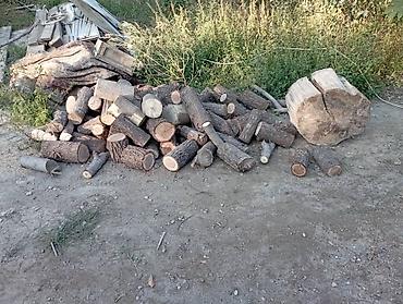 дрова цена: Дрова Платная доставка — 1