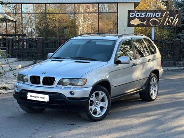 годф 3: BMW X5: 2003 г., 3 л, Автомат, Дизель, Кроссовер