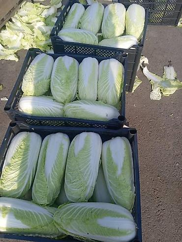 Ящики: Ящик, Новый — 22