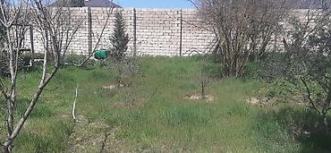 Torpaq sahələrinin satışı: 9 sot, Tikinti, Mülkiyyətçi, Kupça (Çıxarış) — 8