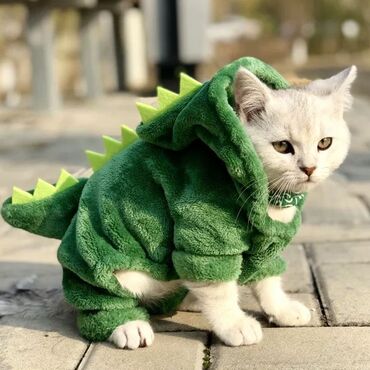 одежда для кота: Чехол для питомцев для 2024г "Зелёный Дракон" одежда пылник комбинезон