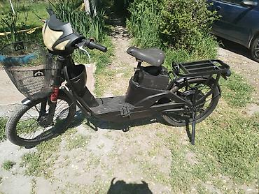 Ostali motocikli i skuteri: Električni skuter – kargo/utility tip - Boja: crna, niskog rama za — 3