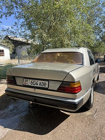 ассенизаторы купить: Mercedes-Benz W124: 1991 г., 3 л, Механика, Дизель, Седан — 2