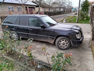 Mercedes-Benz: Mercedes-Benz W124: 1995 г., 2.9 л, Механика, Дизель, Универсал