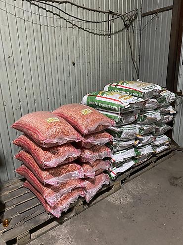 Пшеница: Жугору урук кукуруза 🌽 беде Арпа урук сулуу оптом достовка бар — 5