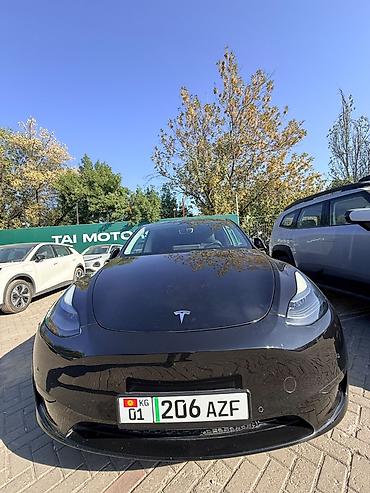 tesl: Tesla Model Y: 2023 г., Автомат, Электромобиль, Седан — 1