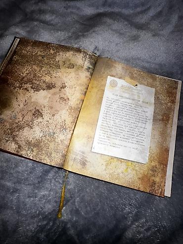 ccd диск: Ежедневник/книга «Дневник 3» из вселенной Gravity Falls (русская — 2