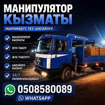 crane: Стрела 12 м, 3000 т, Борт 10000 кг — 1